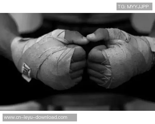 苑玉宝与宝力高的巅峰对决谁将成为拳坛新王者